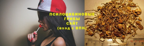 ПСИЛОЦИБИНОВЫЕ ГРИБЫ Аркадак