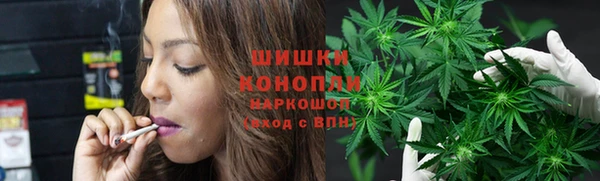 ПСИЛОЦИБИНОВЫЕ ГРИБЫ Аркадак